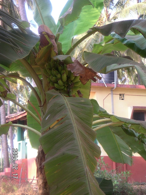 Loffe_old 021.jpg